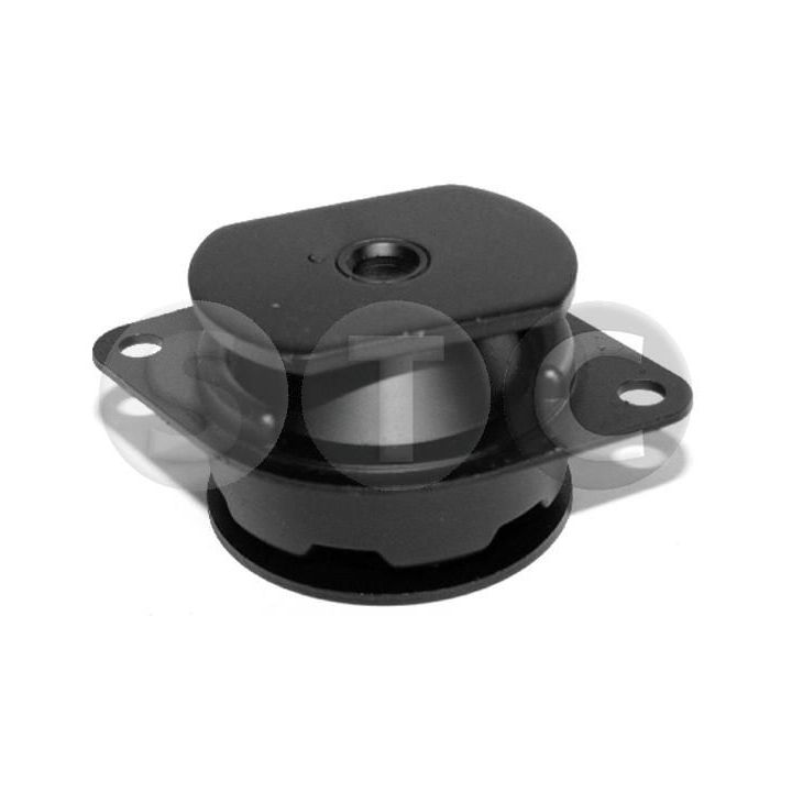 Variklio montavimas STC T405618