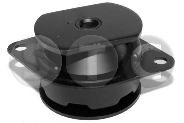 Variklio montavimas STC T405618