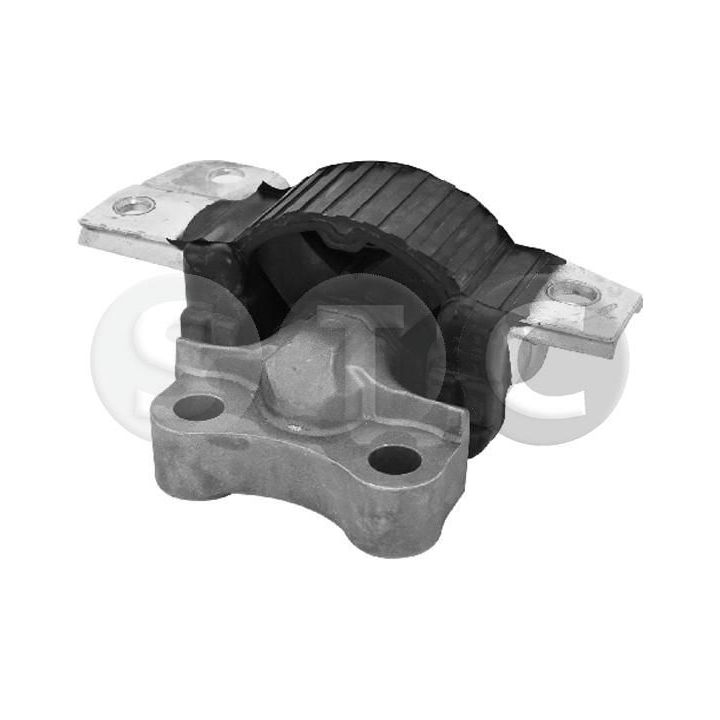 Variklio montavimas STC T405680