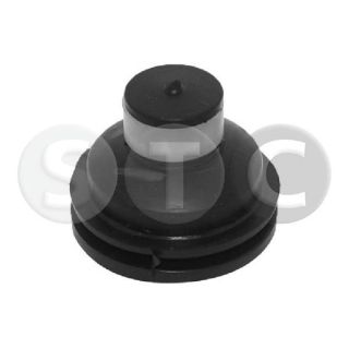 Variklio montavimas STC T405784