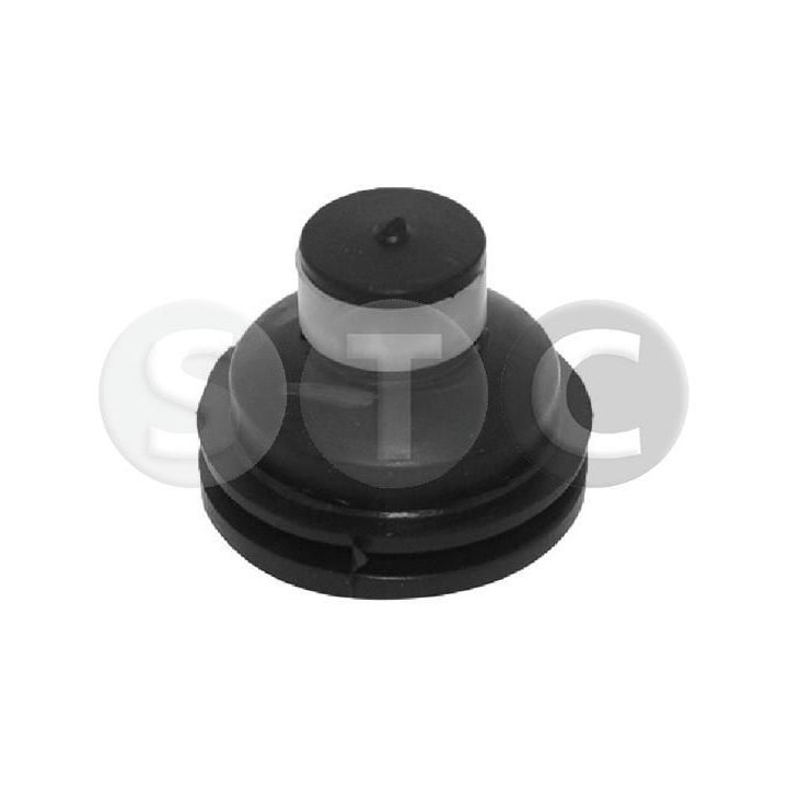 Variklio montavimas STC T405784