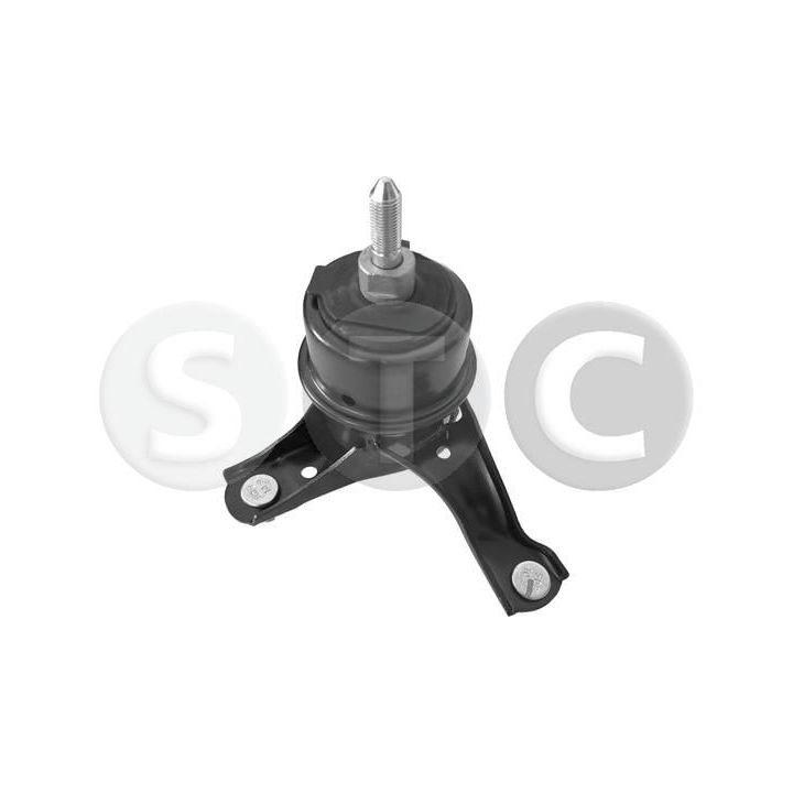 Variklio montavimas STC T423146
