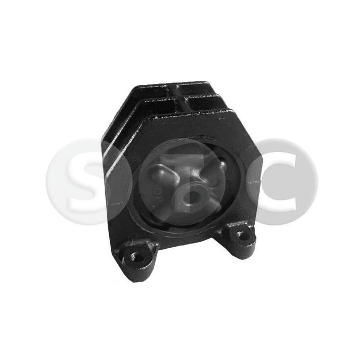 Variklio montavimas STC T423151