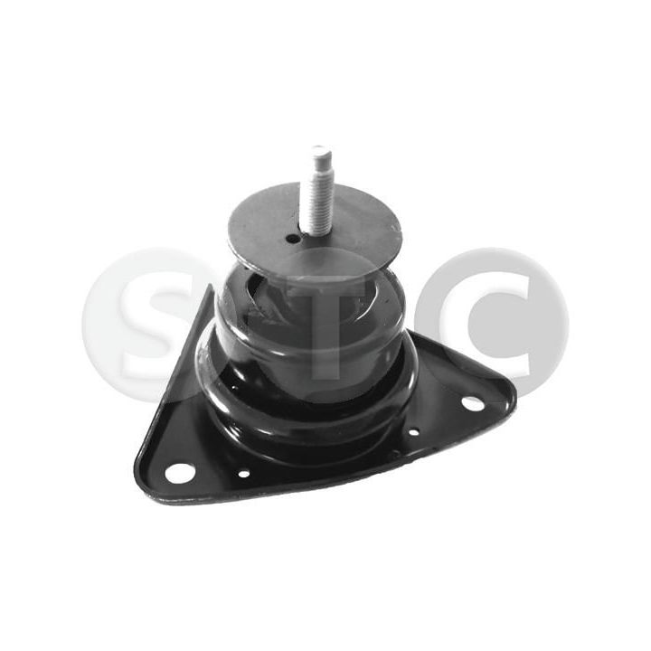 Variklio montavimas STC T423174