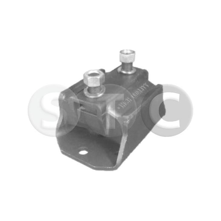 Variklio montavimas STC T423379