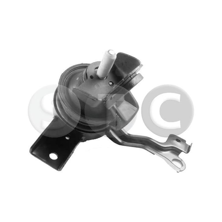 Variklio montavimas STC T441551