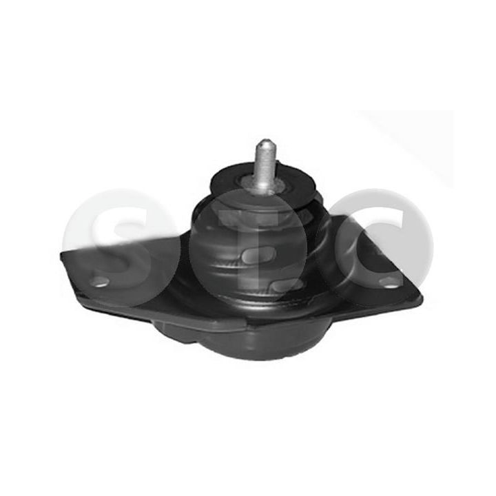 Variklio montavimas STC T441630