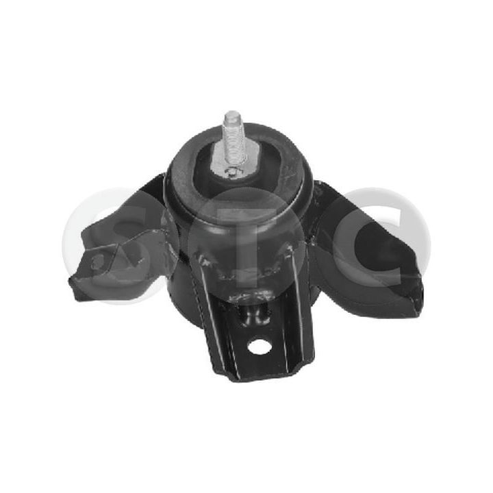 Variklio montavimas STC T441635