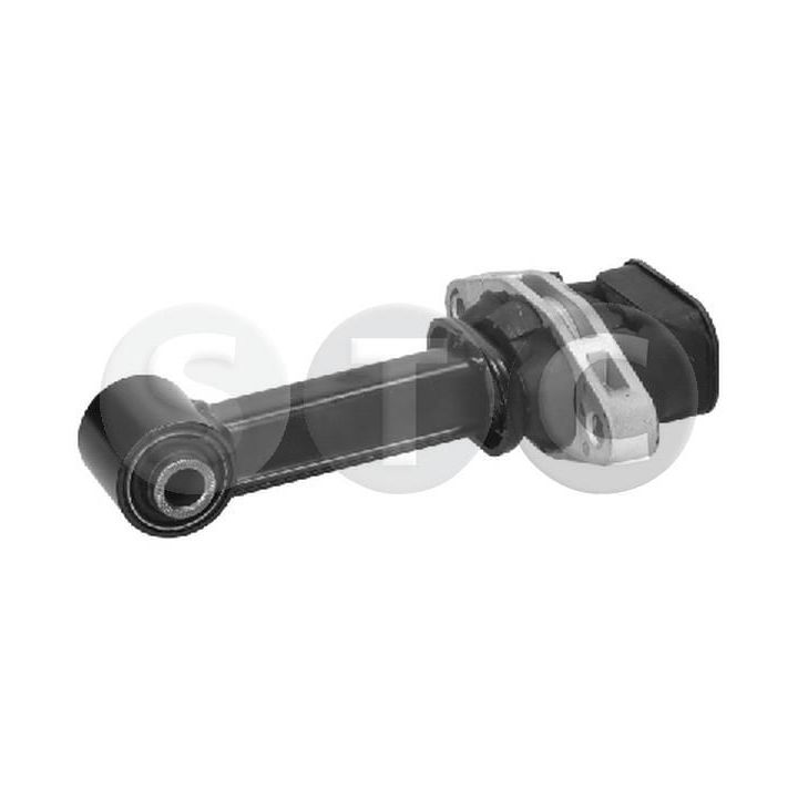 Variklio montavimas STC T441637