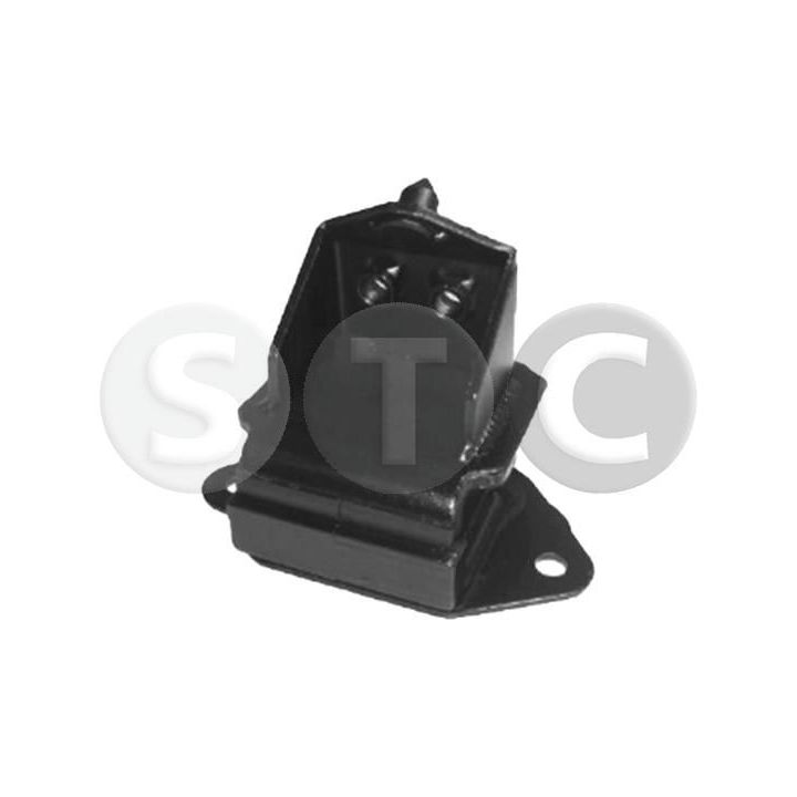 Variklio montavimas STC T441673