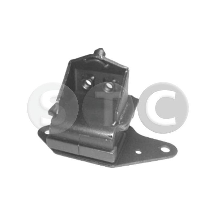 Variklio montavimas STC T441674