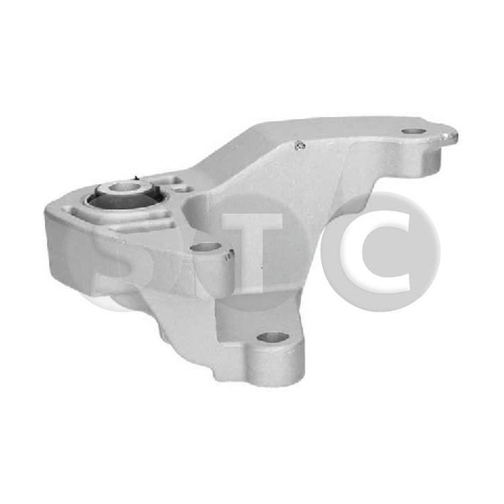 Variklio montavimas STC T448041