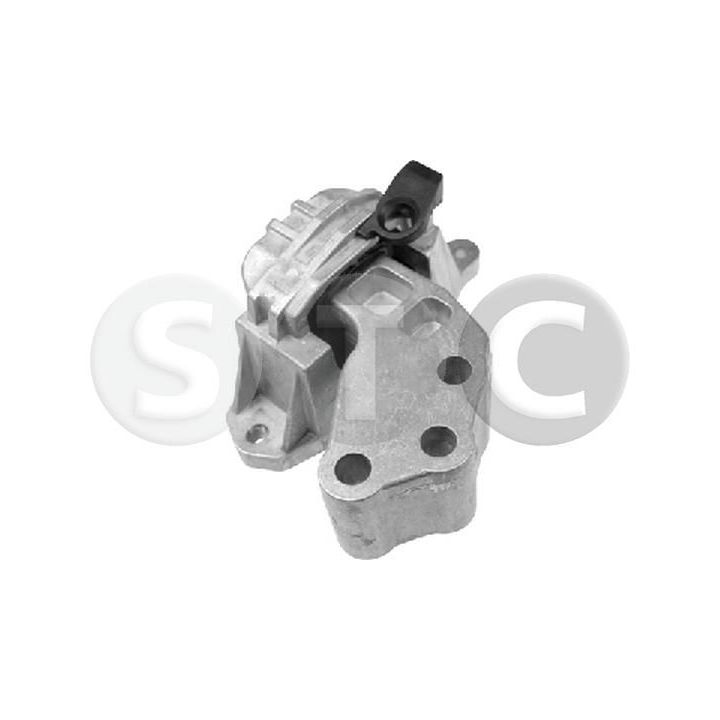 Variklio montavimas STC T449116