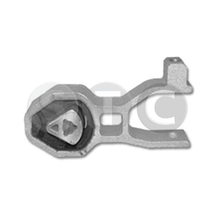 Variklio montavimas STC T454026