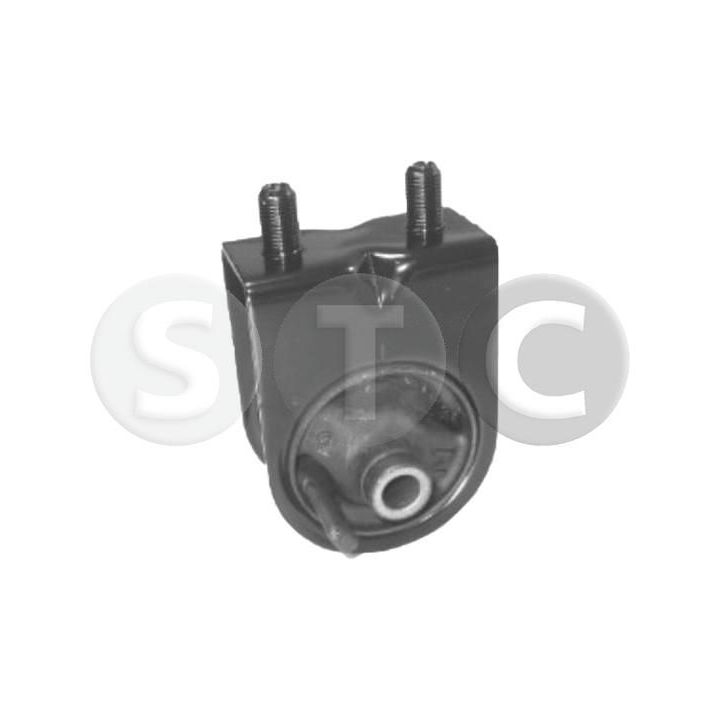 Variklio montavimas STC T454034