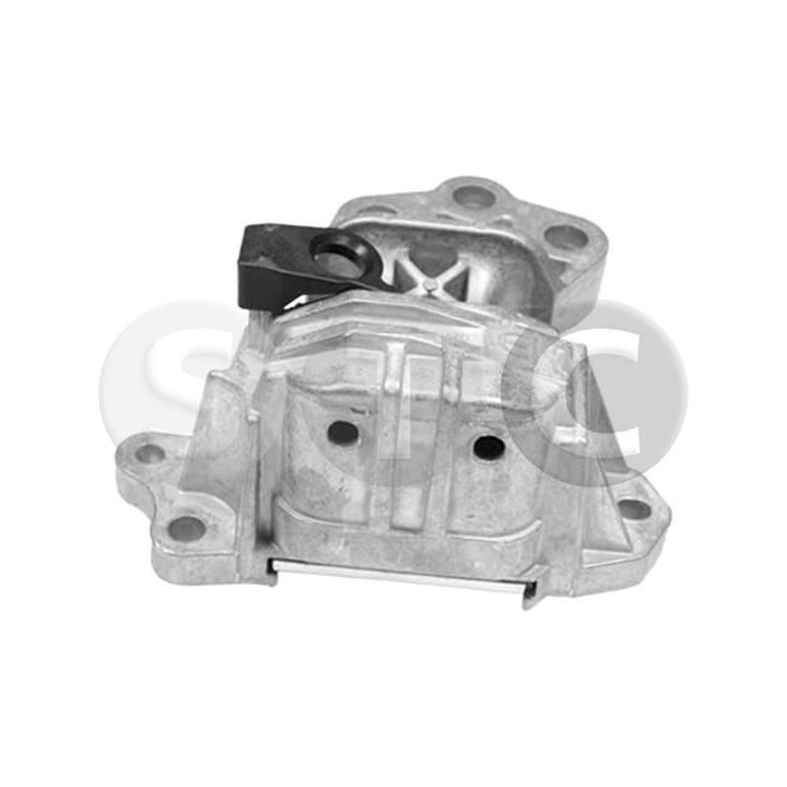 Variklio montavimas STC T454063