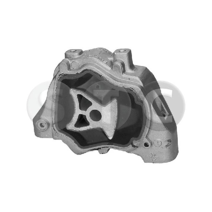 Variklio montavimas STC T454088