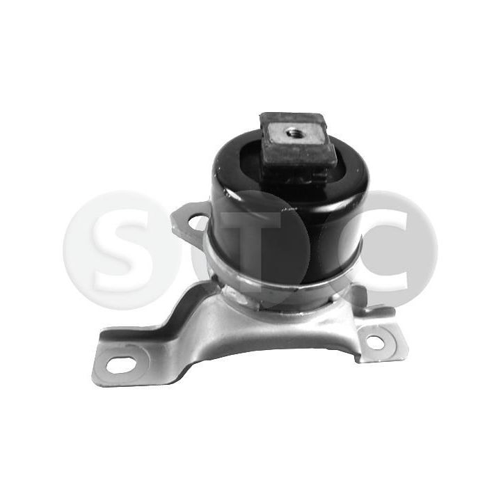 Variklio montavimas STC T454091