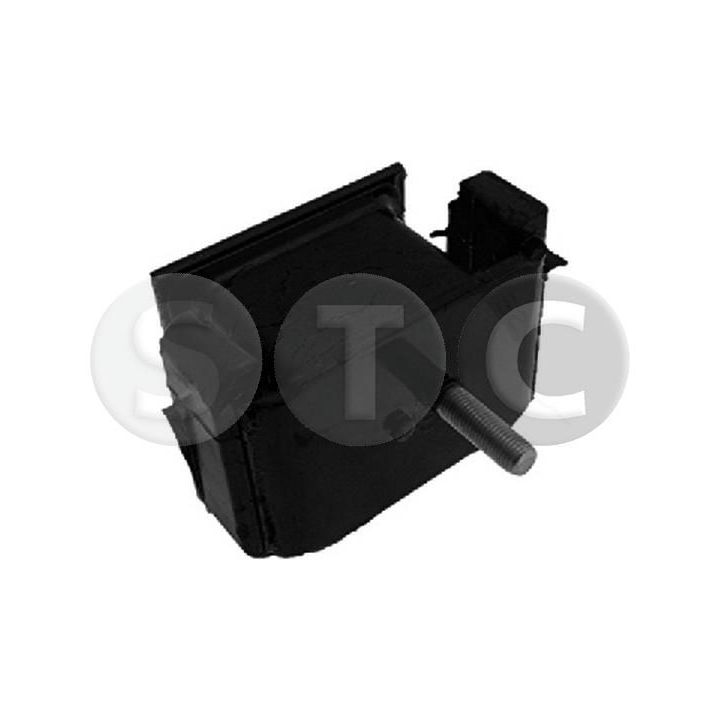 Variklio montavimas STC T454095