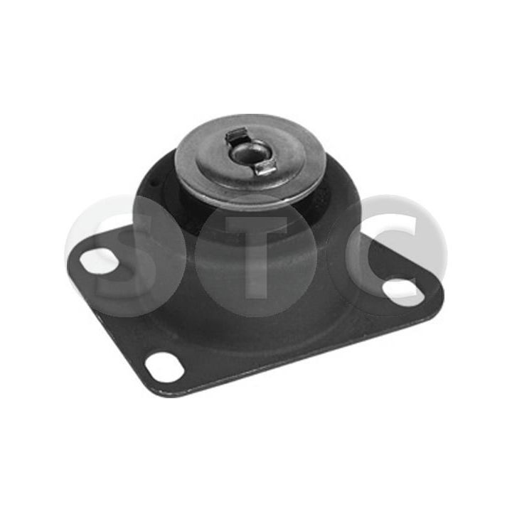 Variklio montavimas STC T454124