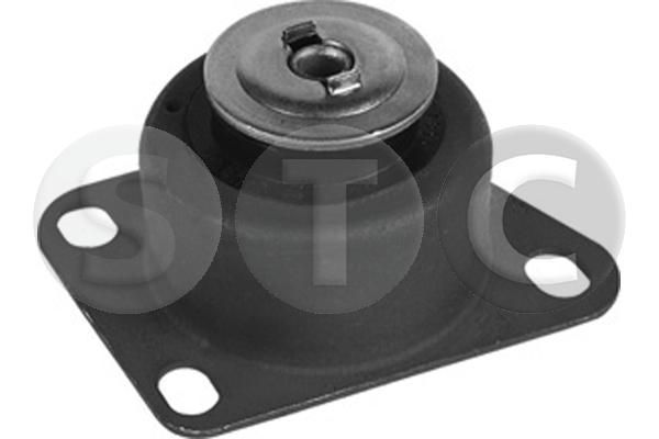 Variklio montavimas STC T454124