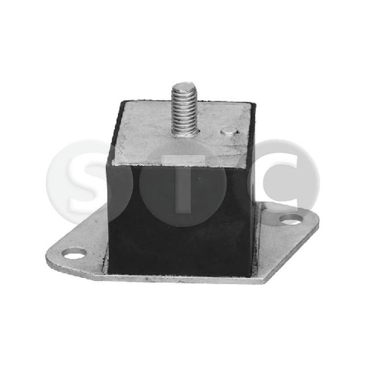 Variklio montavimas STC T454131