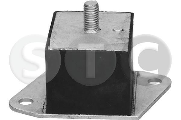 Variklio montavimas STC T454131