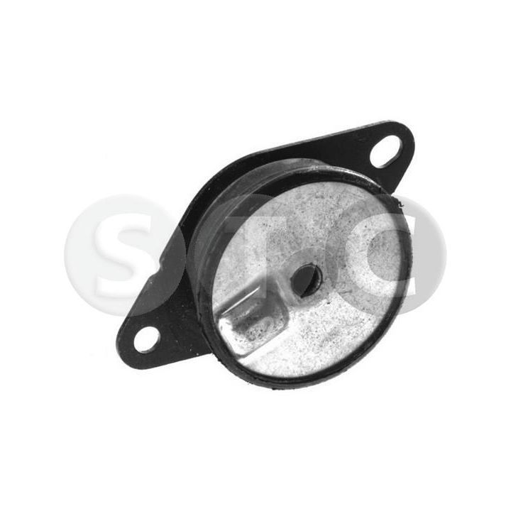 Variklio montavimas STC T454134