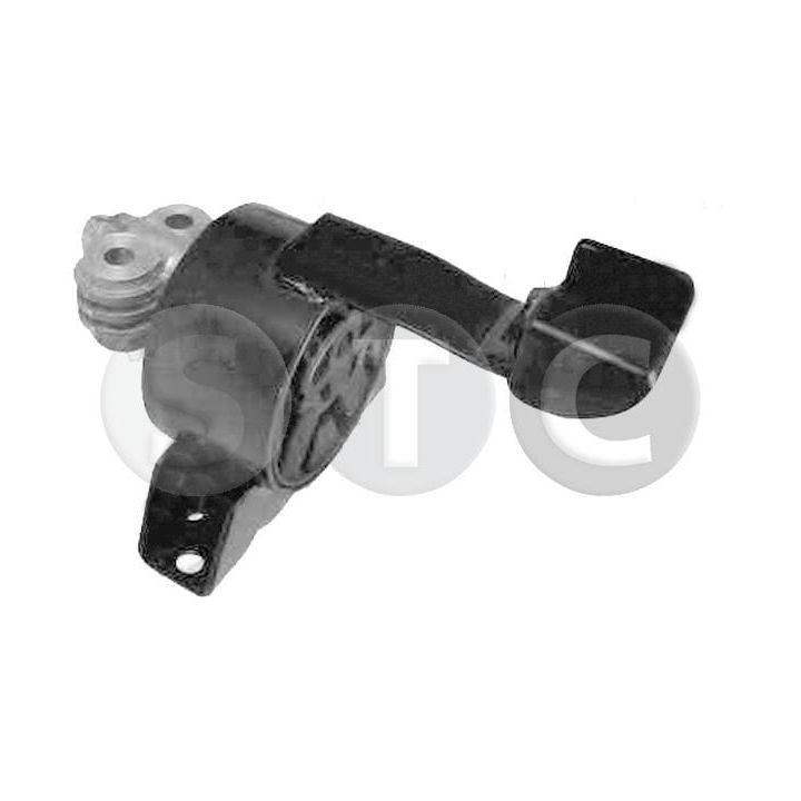 Variklio montavimas STC T454146