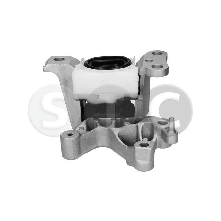 Variklio montavimas STC T454172