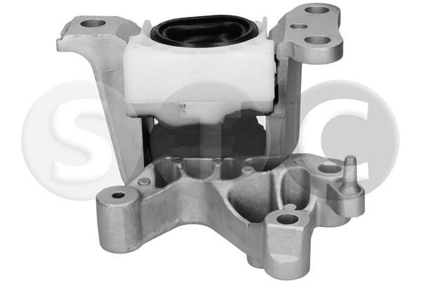 Variklio montavimas STC T454172