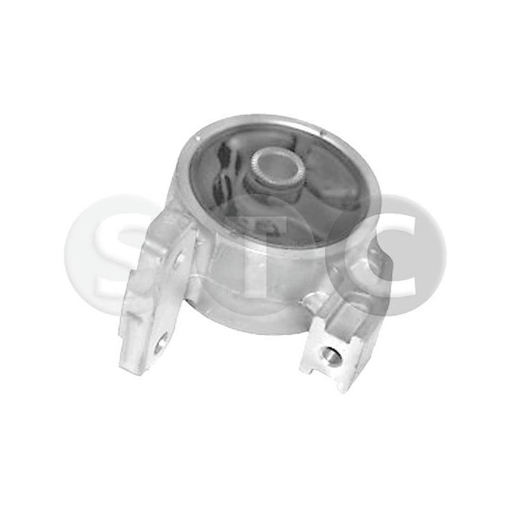 Variklio montavimas STC T454190