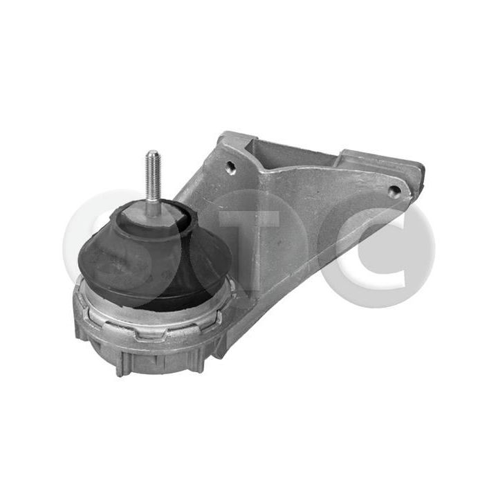 Variklio montavimas STC T454196