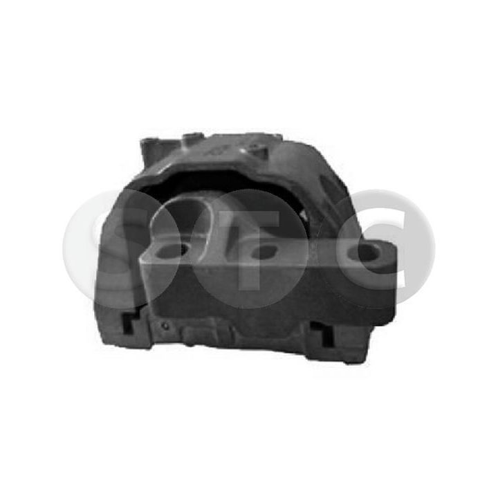 Variklio montavimas STC T454207