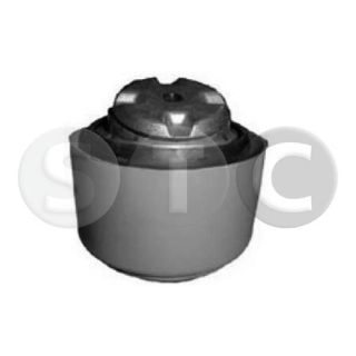 Variklio montavimas STC T454211