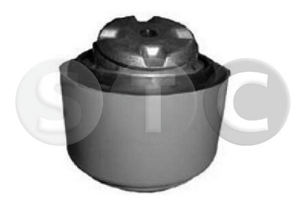 Variklio montavimas STC T454211