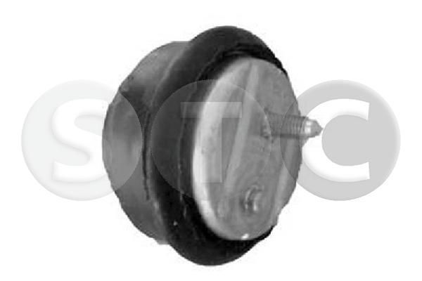 Variklio montavimas STC T454212