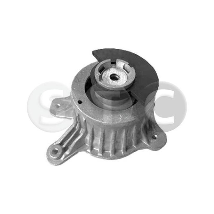 Variklio montavimas STC T454215