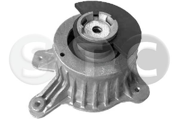 Variklio montavimas STC T454215