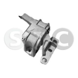 Variklio montavimas STC T454219