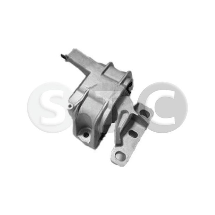 Variklio montavimas STC T454219