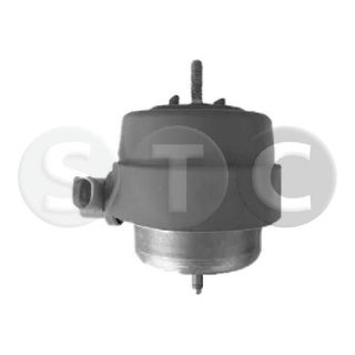 Variklio montavimas STC T454223