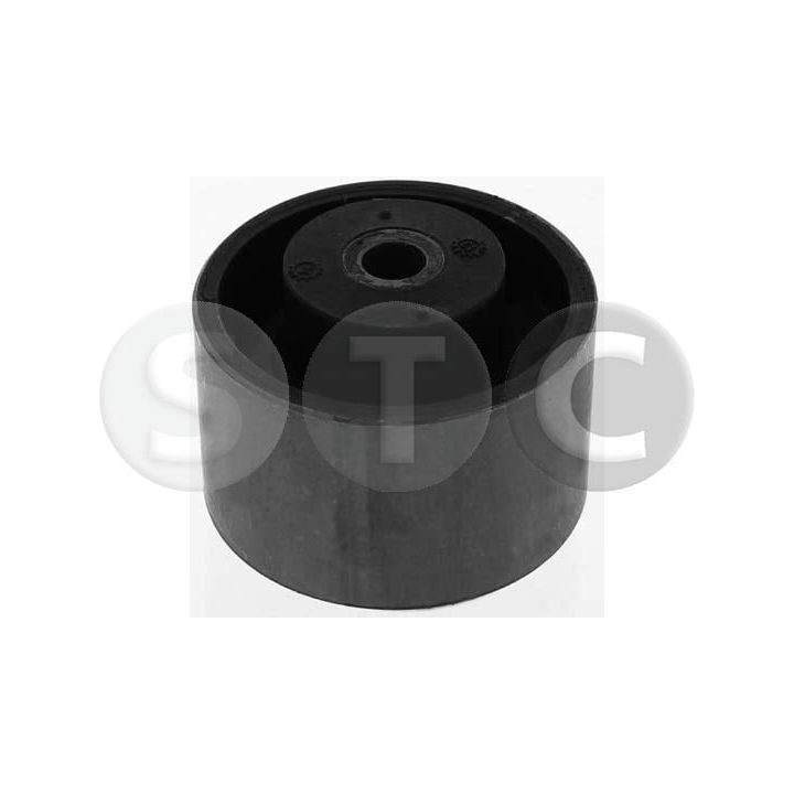 Variklio montavimas STC T454225