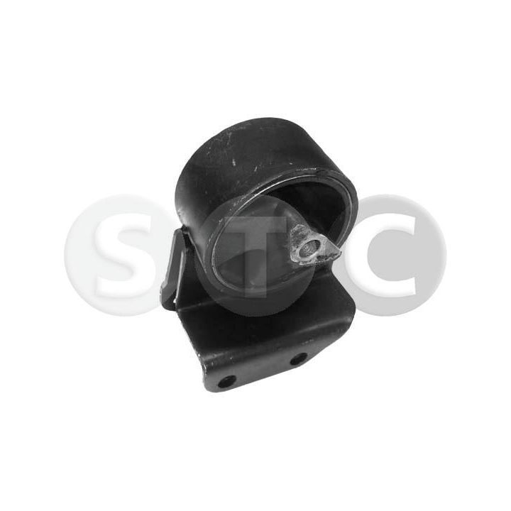 Variklio montavimas STC T454229