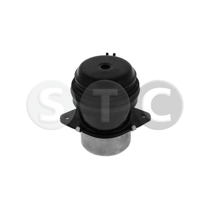 Variklio montavimas STC T454232