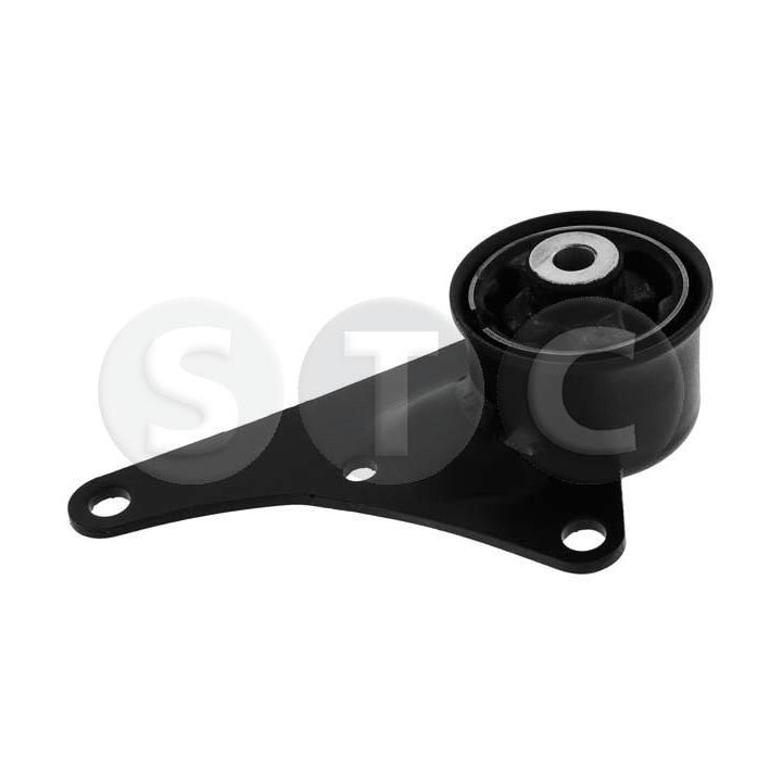 Variklio montavimas STC T454233