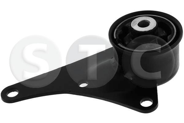 Variklio montavimas STC T454233