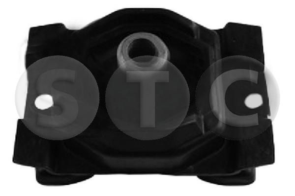 Variklio montavimas STC T454259