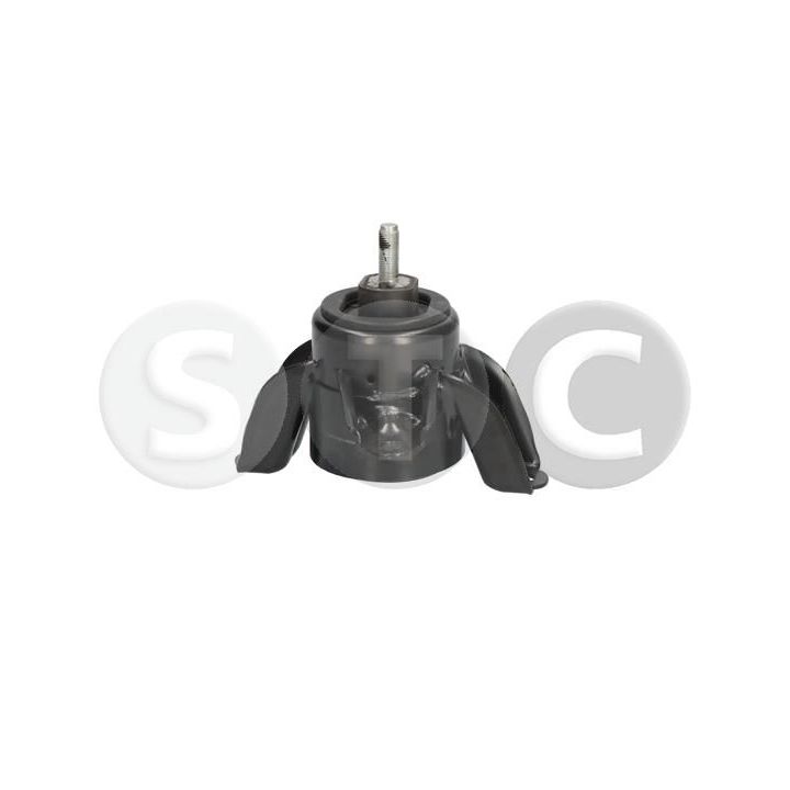 Variklio montavimas STC T454263