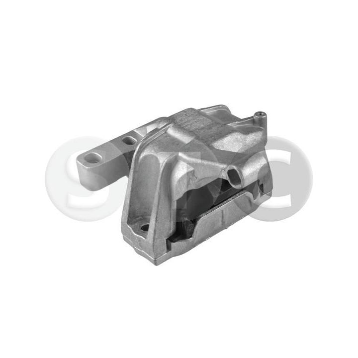 Variklio montavimas STC T454275